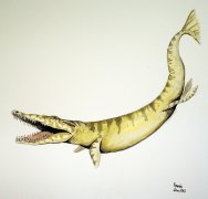 T. lythrodectikos_recon_colour3smaller