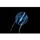sea-gooseberry